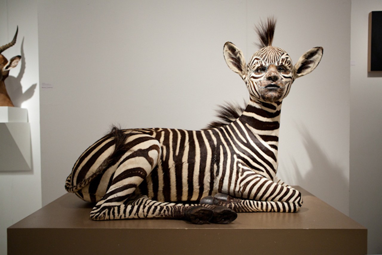 In addition to looking at photographic artworks, Patrick and Holly Kahn admit this is not their only interest &#150; innovative sculptures are also of interest. Here we take a moment to look at a para-human sculpture by Kate Clark. This Zebra piece is suitably titled &#147;She Gets What She Wants&#148;.
Kate Clark&#146;s &#147;work studies the tension between personal and mythical realms by creating sculpture that synthesizes the human face and the body of wild animals.&#148; &#150; artist bio.
Location: Miami Project Fair in Wynwood Arts District