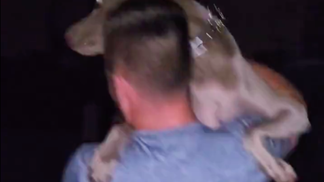 Key West resident carries dog through floodwaters in harrowing evacuation video