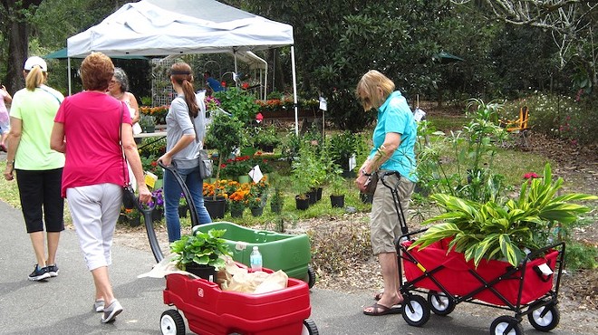 Harry P. Leu Gardens hosts annual spring plant sale this weekend