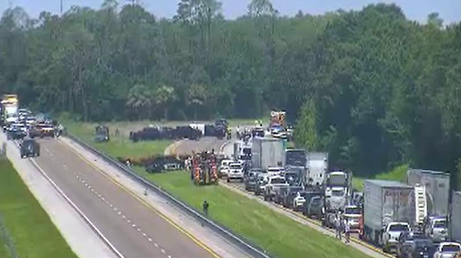 Loose cattle close Florida Turnpike for hours on Monday
