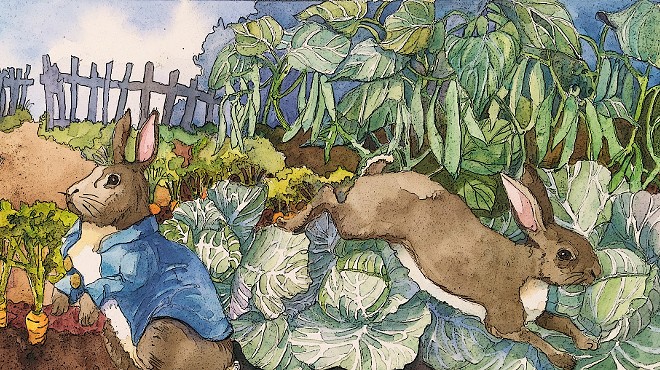 Peter Rabbit gets into trouble in one of the illustrations for Mad Cow Theatre's 'Bedtime Tales of Long Ago.'