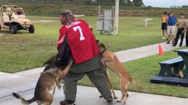 Navy SEALs launch investigation after Florida video shows a dog attacking a man in a Kaepernick jersey