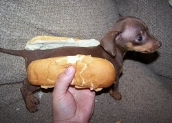 Now that's a weenie.