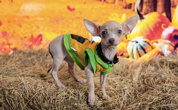 Orange County Animal Services’s annual Barktoberfest heads to Lake Eola Park next month