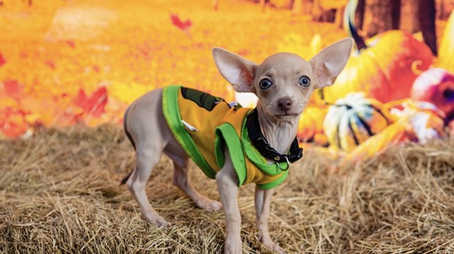 Orange County Animal Services’s annual Barktoberfest heads to Lake Eola Park next month