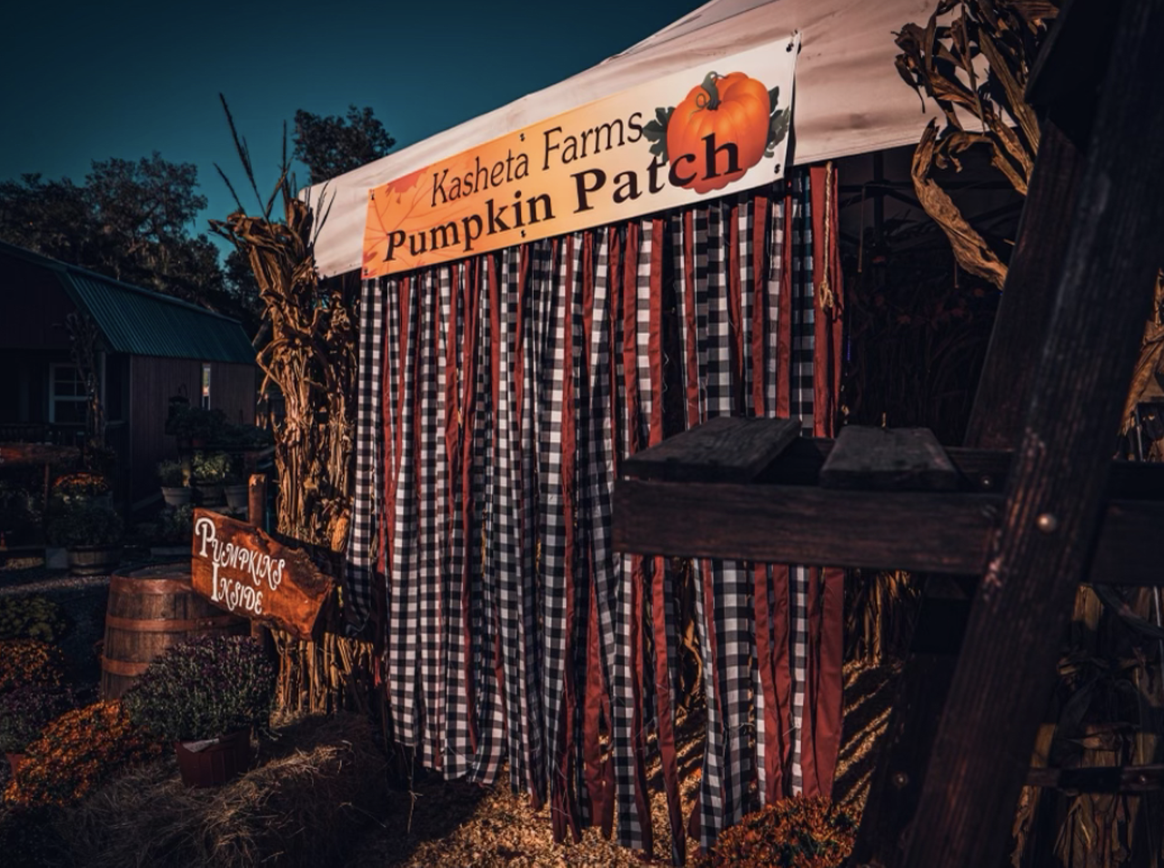 3rd Annual Pumpkin Patch by Kasheta Farms
40 E. Fifth St., Apopka
Daily starting Sept. 28
Kasheta Farms is hosting its third annual pumpkin patch to welcome the fall season to Central Florida. The event will be held from Sept. 28 through Oct. 1 at Propagate Social House in downtown Apopka.