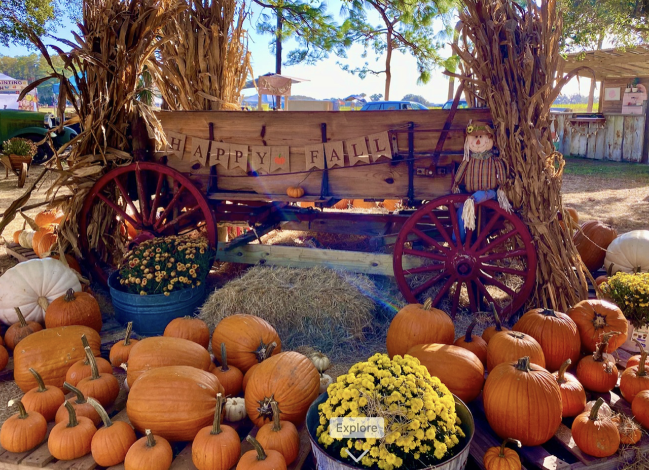 Partin Ranch Corn Maze
5601 N. Canoe Creek Road, Kenansville
Daily starting Oct. 7
The Partin Ranch Corn Maze offers tons of fall activities, including a corn maze, pumpkin patch, barrel train, games, hay rides and more. There will also be plenty of festive photo opportunities and animal viewings on offer.