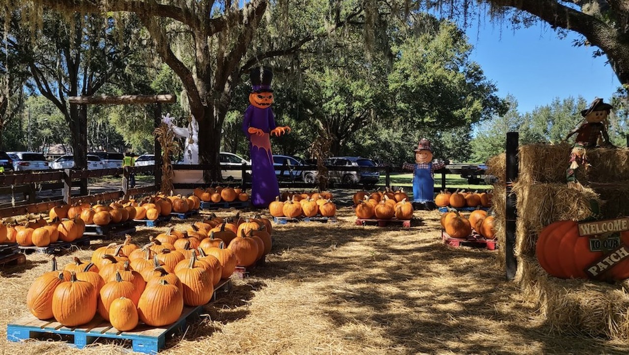 Club Lake’s Fall Festival
3403 Rock Springs Road, Apopka
Friday through Sunday, Sept. 30 to Oct. 29
Club Lake’s Fall Festival features a pumpkin patch, corn maze, hay rides, a country store and activities like “pumpkin chunkin’” and tennis ball cannon launches. The festival is open Friday through Sunday from 10 a.m. to 6 p.m. Admission price is $16.95 per person, but group discounted rates are also available.