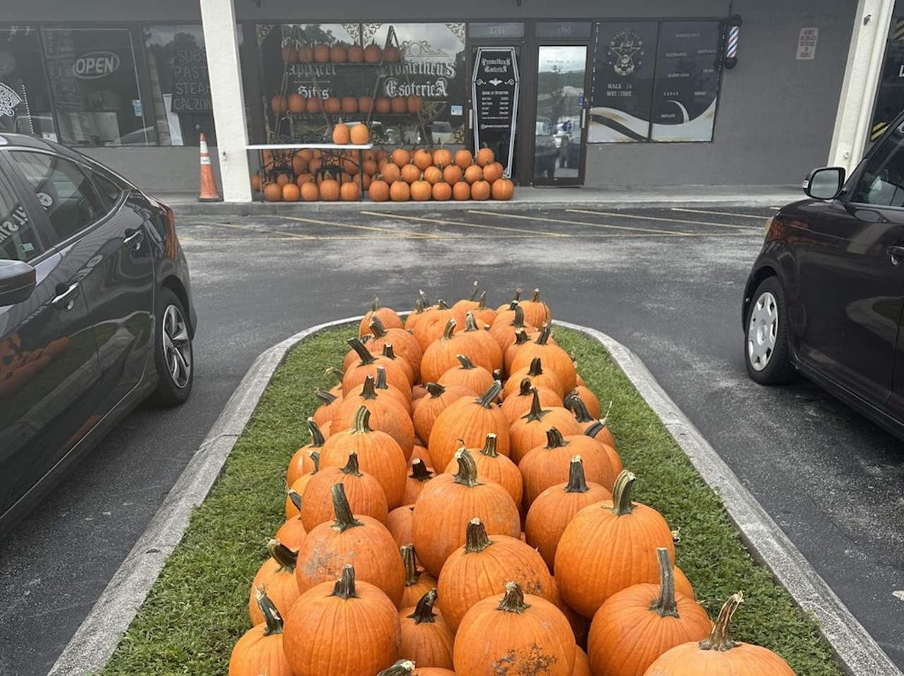 Prometheus Esoterica Pumpkins for Opossums
3744 Howell Branch Road, Winter Park
Oct. 19 and 20
The Winter Park oddities shop is hosting its annual fundraiser pumpkin picking event to help raise money for Back to Nature Wildlife refuge. All pumpkin purchase proceeds go straight to the organization.