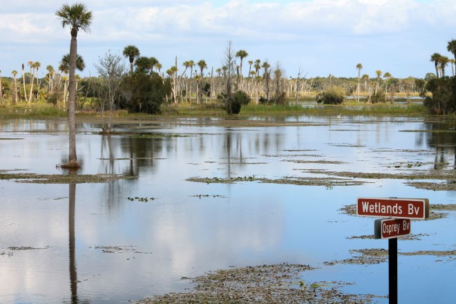 Orlando Wetlands Park (Christmas, Florida) - October 31 & …