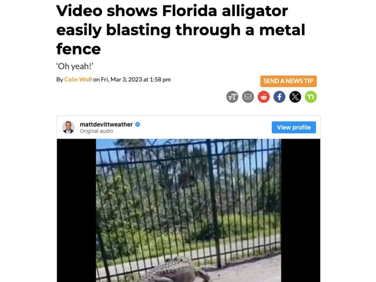 A video shared to social media by WINK News Chief Meteorologist Matt Devitt shows a Lee County alligator effortlessly bending and climbing through an aluminum fence in Placida, Florida, which is in Charlotte County. Read full article