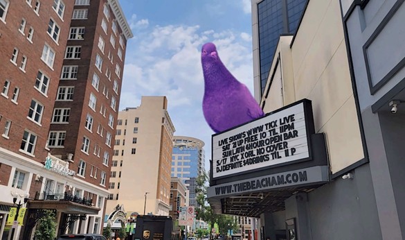 Orlando's giant inflatable pigeons take flight this week