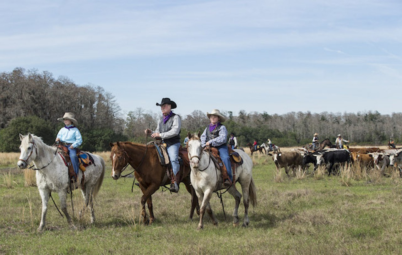 (Left to Right) Max Coggins, 8, his grandfather and trail boss Mike Wilder and twin brother Rhett Coggins lead hundreds of cracker cows and riders in the Great Florida Cattle Drive 2016 in Kenansville, Florida. The Great Florida Cattle Drive is a living-history event that commemorates the culture of Florida's cow hunters. The six-day drive is an authentic reenactment of what life was like during a cattle drive in Florida in the 1800s. It recreates, the challenges, hardships and good times for modern day Floridians to experience.