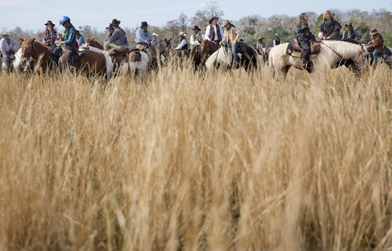 Riders rest their horses in the tall grasses of  Kenansville. The riders traveled from as far away as Germany, England, South America, California, North Carolina, Texas, Tennessee and nearby states like Georgia and Alabama.