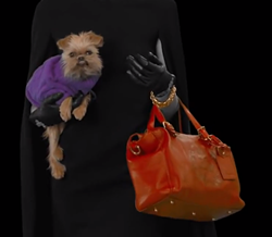 Ralph Lauren video 'The Dog Walk' features shelter dogs