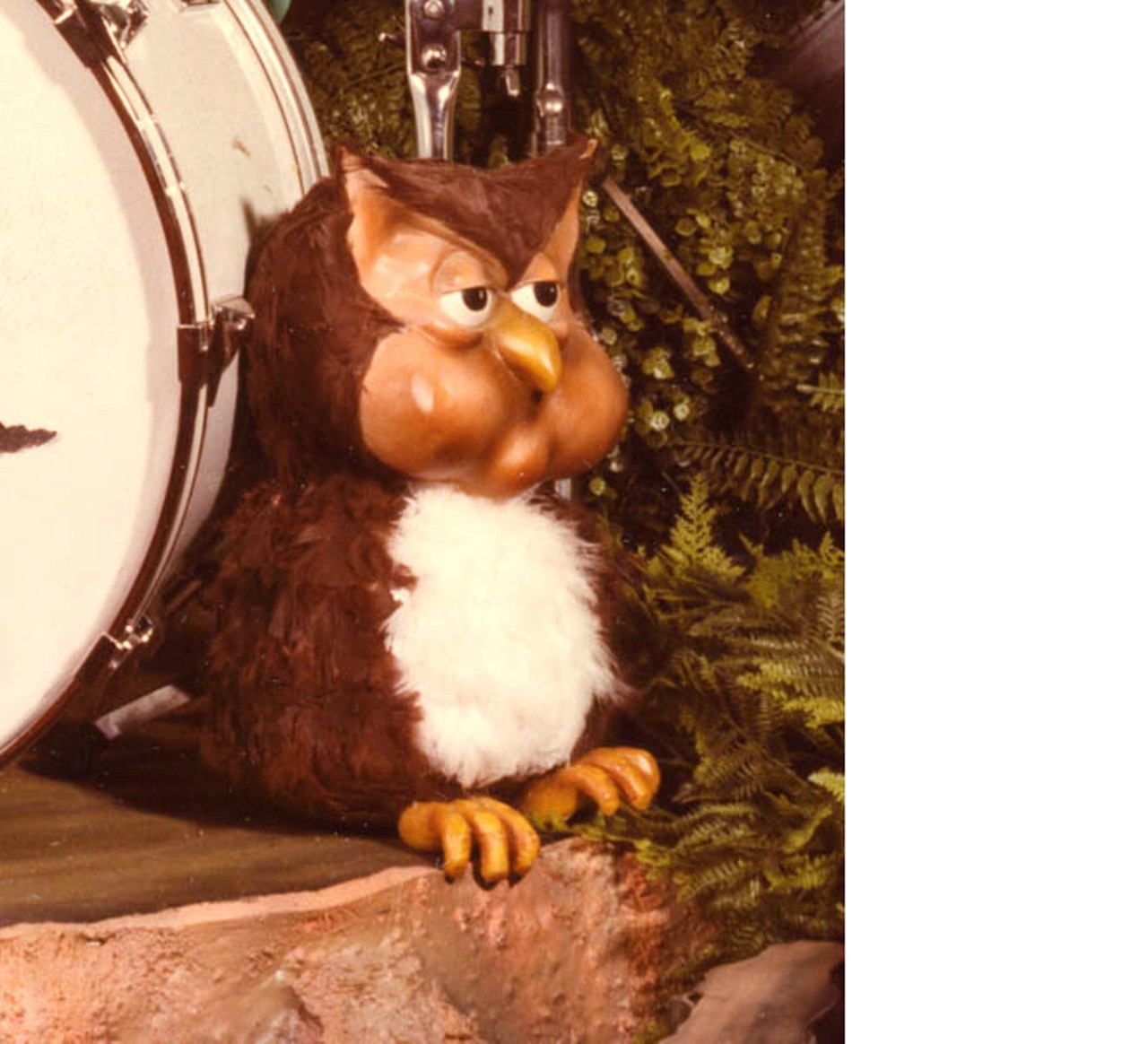 Owl was more of a prop than a character, and he sat onstage next to Dook LaRue's drum set. Photo via Showbizpizza.com