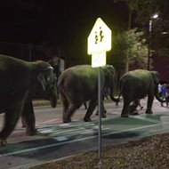 Video: Disney's Dumbo Departs as Ringling Elephants Arrive