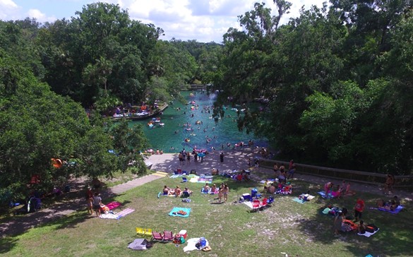 Swim, paddle or kayak Wekiwa Springs
Wekiwa Springs, FL 32779
This stunning spring is less than 20 minutes from downtown Orlando, inviting locals to escape the city and enjoy all that nature has to offer. The emerald water is perfect to dive into and cool off with friends and family. There's ample space to have a picnic, making it a top contender for Orlando's best summer hangout. Wekiwa Springs also has its very own food truck for those who didn’t pack enough snacks.
