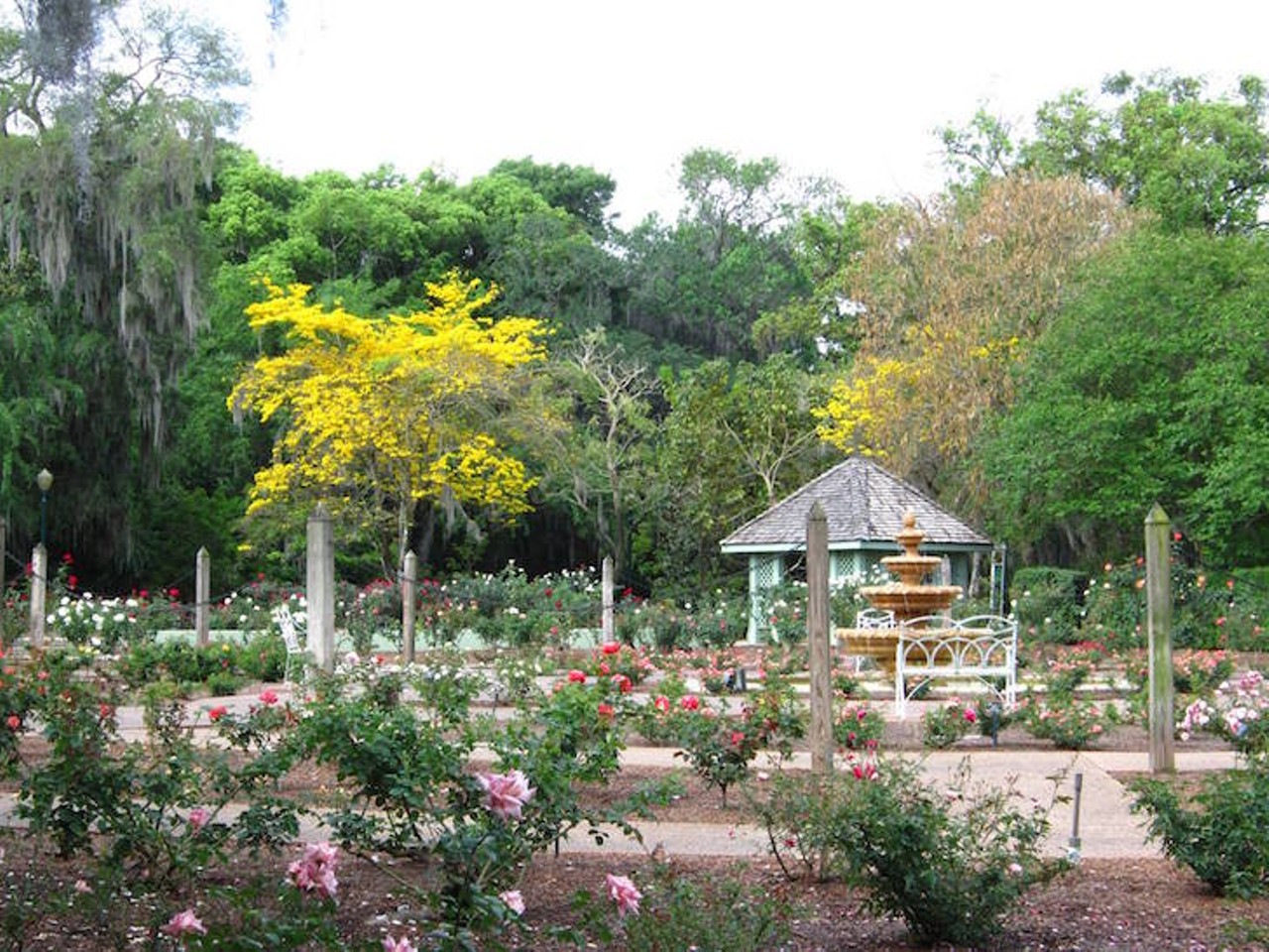 Go explore Orlando&#146;s botanical gardens
See the colorful, exotic plants and shady trees that surround Orlando (and all within driving distance) without feeling like you&#146;re actually in the Amazon. Take advantage of the cooler air and take that walk around all 50 acres of Leu Gardens or through the Legacy Greenhouse at Mead Botanical Garden.
Photo via Harry P. Leu Gardens/Facebook