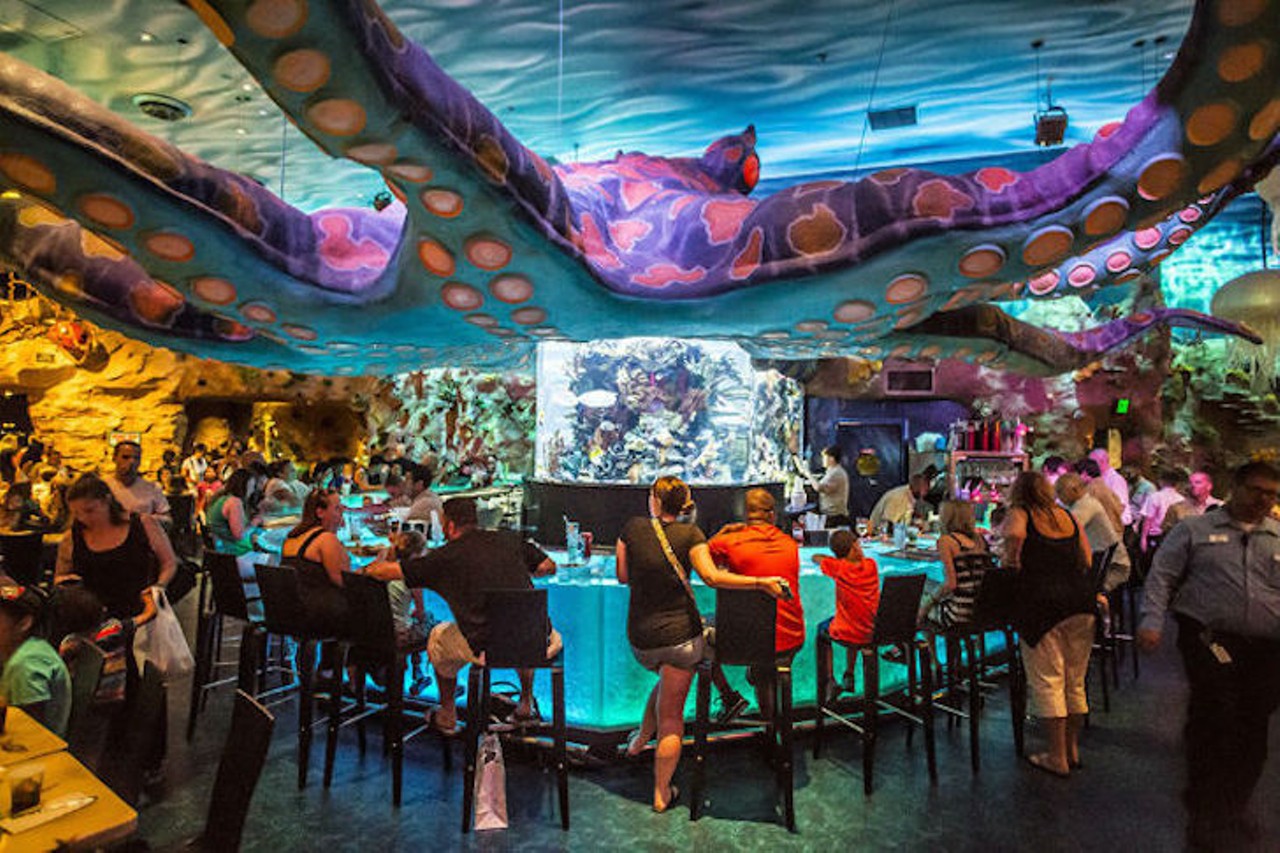 Shark Bar inside the T-Rex Cafe
1676 E. Buena Vista Drive
The bar itself is next level unique with a huge saltwater fish tank tucked under the arms of a giant octopus. Scuba gear isn't necessary. 
Photo via Rob Bartlett