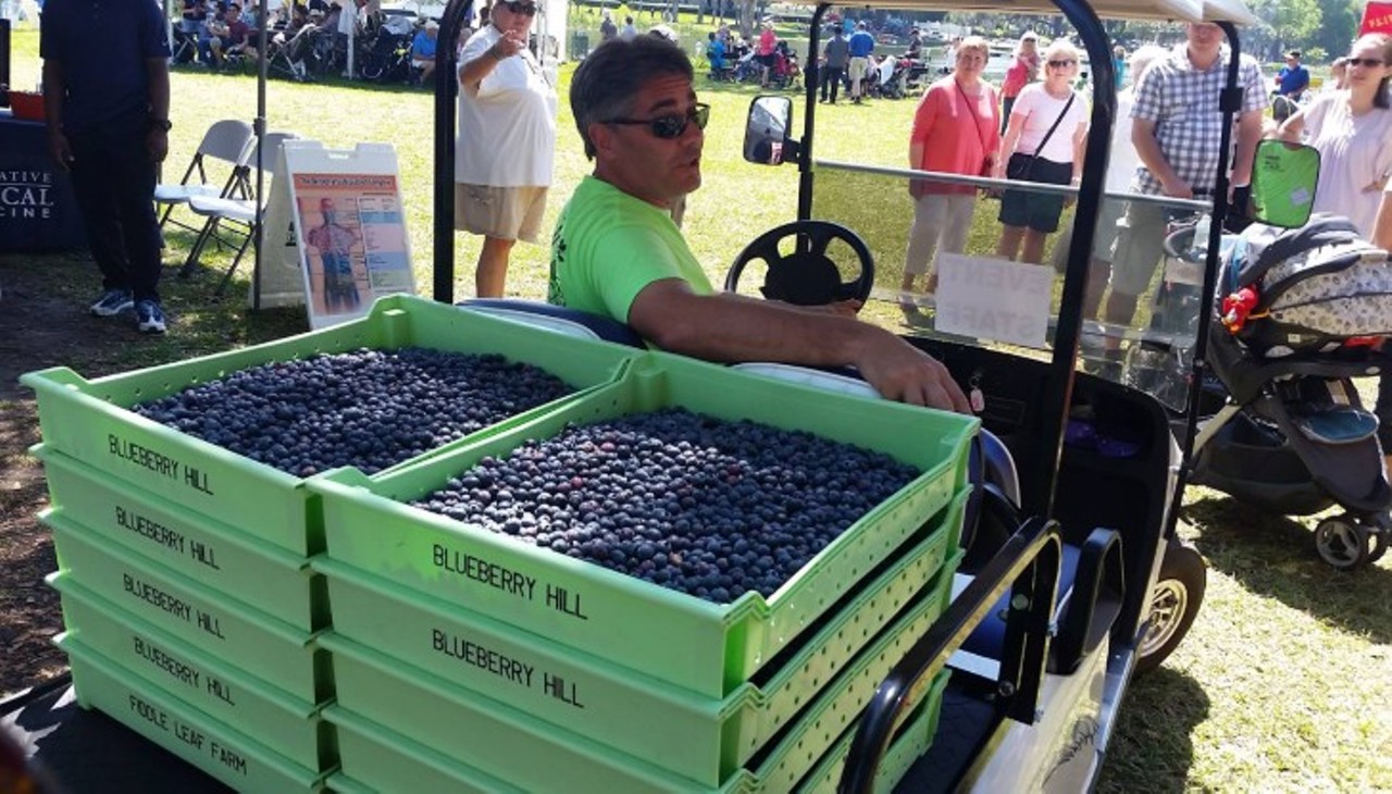Mount Dora Blueberry Festival
April 29-30, 100 N. Donnelly St., Mount Dora
With a current yield of 17 million pounds of blueberries, Mount Dora&#146;s 3rd annual festival is likely to attract any respectable blueberrenthusiast. With events for all ages and a wonderful atmosphere, this festival is easily one worth planning for. 
Photo via Mount Dora Blueberry Festival/Facebook