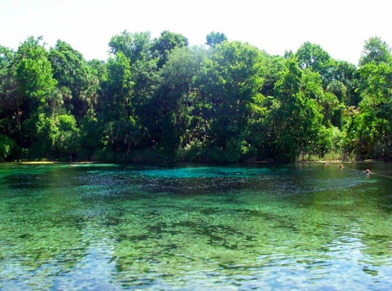 Go snorkeling at Alexander Springs Recreation Area
49525 County Rd 445, Altoona, FL  (352) 669-3522 
Want to take a normal day at the springs up a notch? Alexander Springs Recreation Area allows guests to enjoy the springs for just a $5.50 use fee per day. Bring some snorkeling gear for some underwater adventures in the crystal clear water. 
Photo via Alexander Springs Recreation Center/Facebook