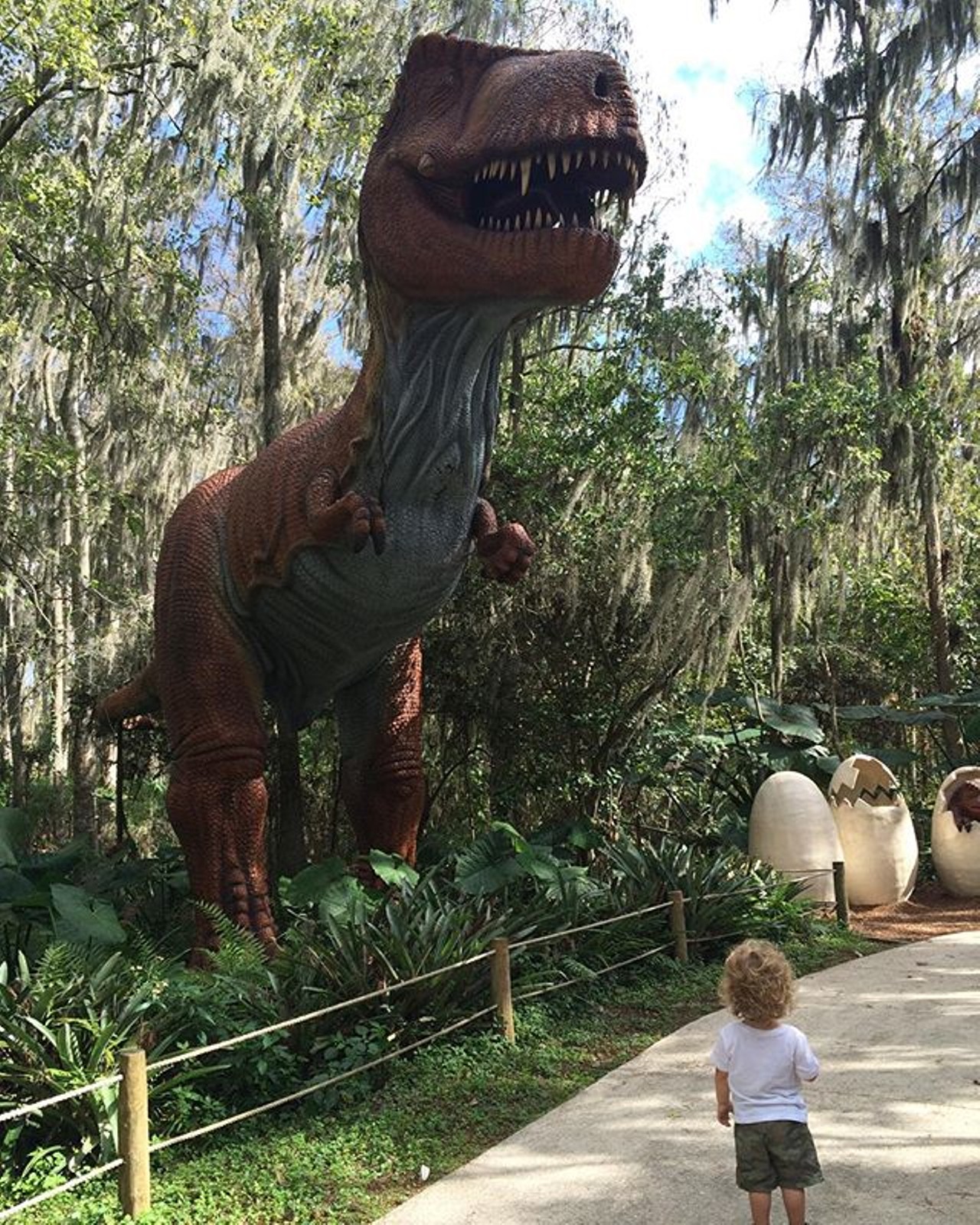 Dinosaur World
5145 Harvey Tew Road, Plant City
Road trip millions of years in the past and explore 20 acres of 200 life size dinosaurs.
Photo via darcygreco on Instagram