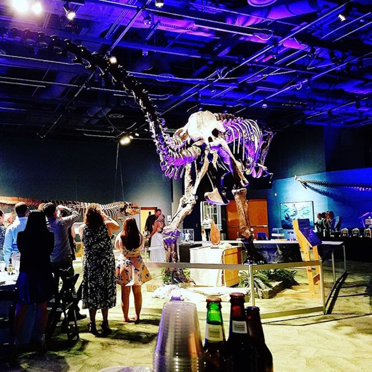Orlando Science Center
This dinosaur might be forever alone, but you two definitely won't be.
777 E. Princeton St. | 407-514-2000
Photo via jessicapawli/Instagram
