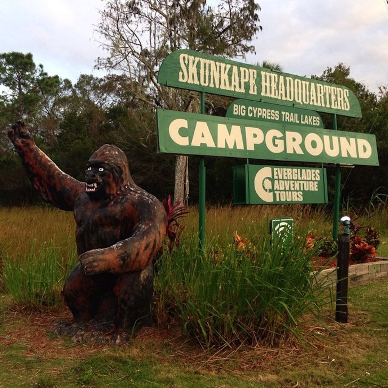 Look for a skunk ape
Skunk Ape Research Headquarters l 40904 Tamiami Trail East, Ochopee l (239) 695-2275
The Everglades is home to large, hairy Skunk Ape, a relative of the elusive Big Foot. People speculate that the Skunk Ape smells like methane or rotten eggs because it sleeps in abandoned alligator dens with dead animal carcasses. Join the two-day adventure where you can ride airboats, drive swamp buggies and trek through the muck looking for a glimpse of mysterious creature.
Photo via topensandoemviajar/Instagram