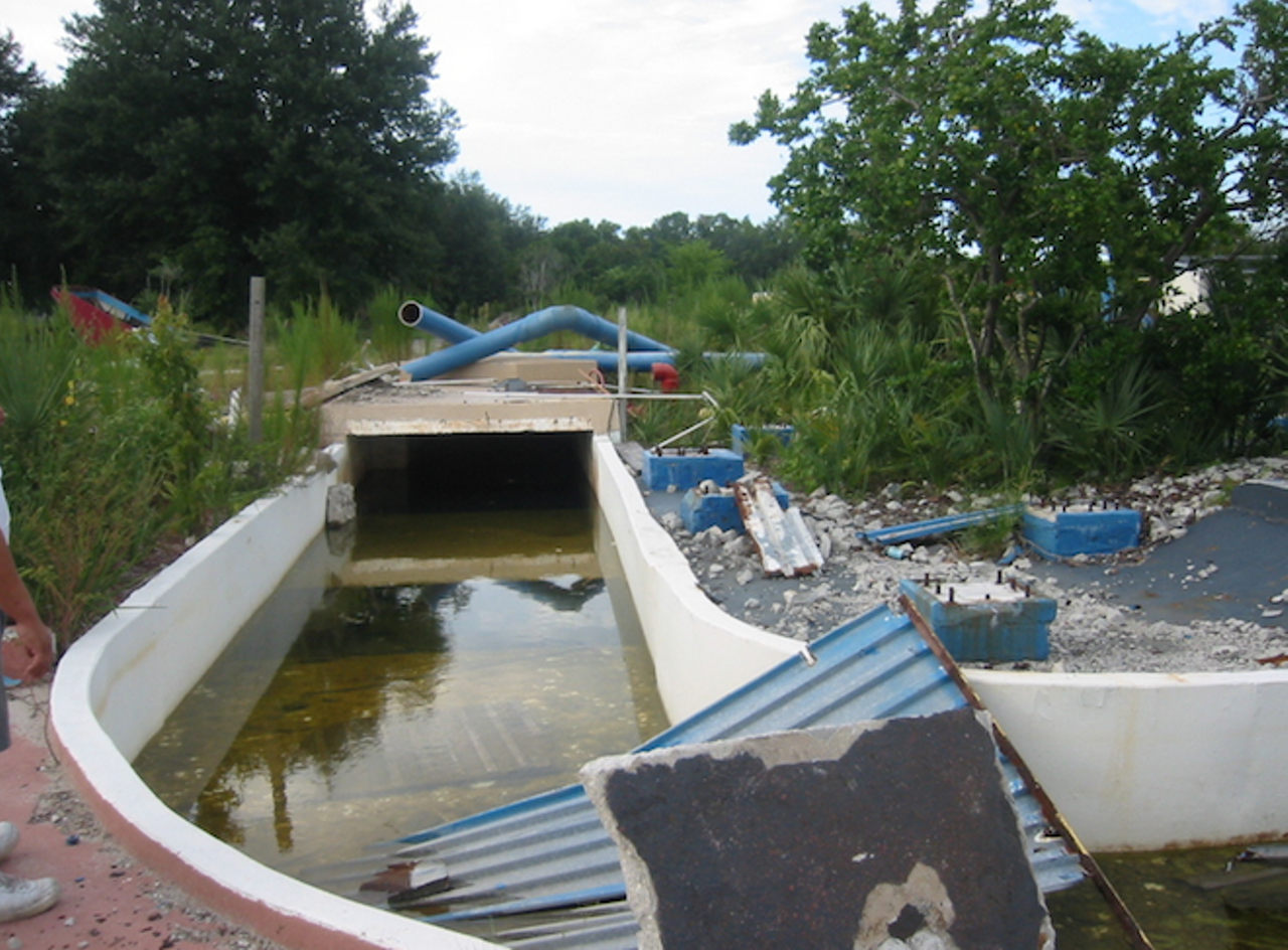 The abandoned Water Mania park
These days, the spot where the water park once stood, at 6073 W. Irlo Bronson Highway (U.S. 192), is inhabited by a Golden Corral and Pirate's Island Mini-Golf course.
Photo via Dustin Walker/Flickr