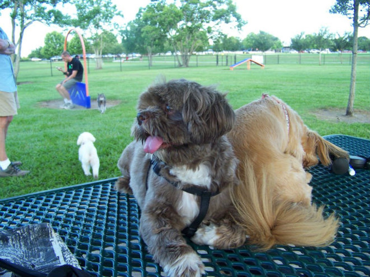 Conway
Conway might not seem like an immediate date destination, but it has plenty to offer for everyone. Sip on some beers at Rogue Pub or  before heading to Barber Dog Park for a lively time. When hunger strikes, the best place to grab a meal is definitely Cork and Fork.
Photo of Barber Dog Park via Yelp