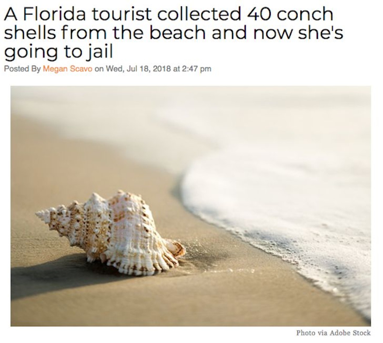 A Texas woman visiting Key West will serve 15 days in jail after collecting 40 conch shells that she planned to give away as gifts. Read more here.