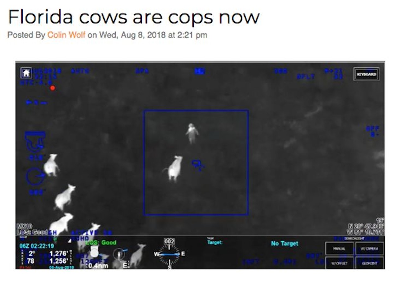 An accused car thief running from authorities through a pasture can be seen getting "corralled" by a large herd of bovines, which clearly suggests that all cows in Florida should be considered law enforcement at this point. Read more here.