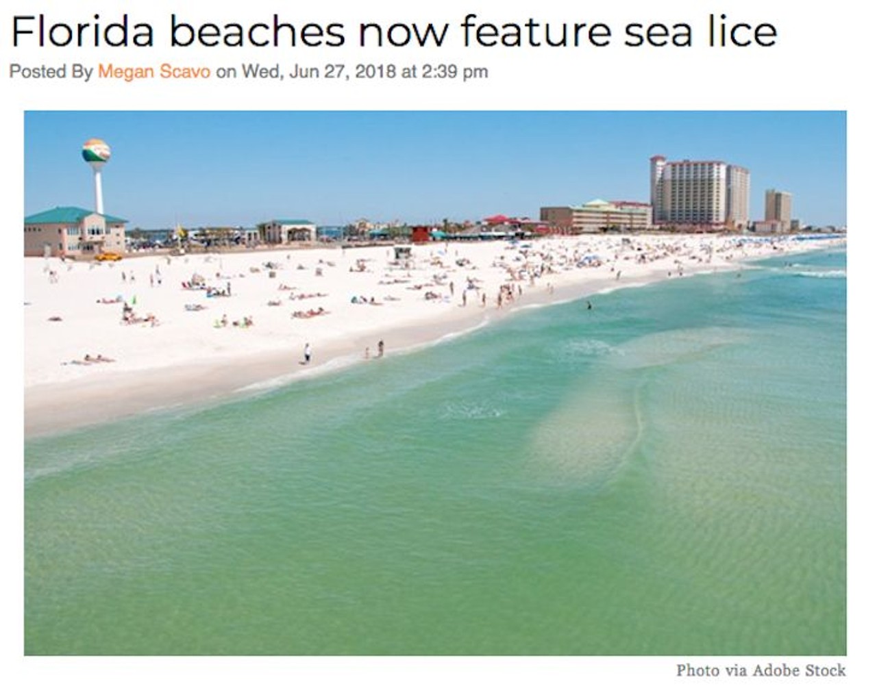 Apparently, people can get lice from swimming in the ocean now. And that's exactly what happened at some Northwest Florida beaches. Read more here.