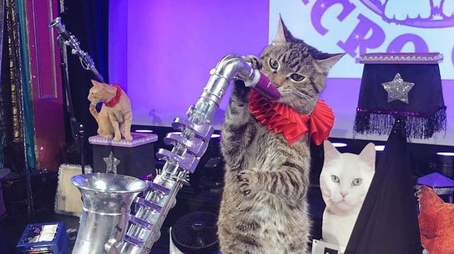 Cats playing jazz and more this weekend at the Orlando Rep