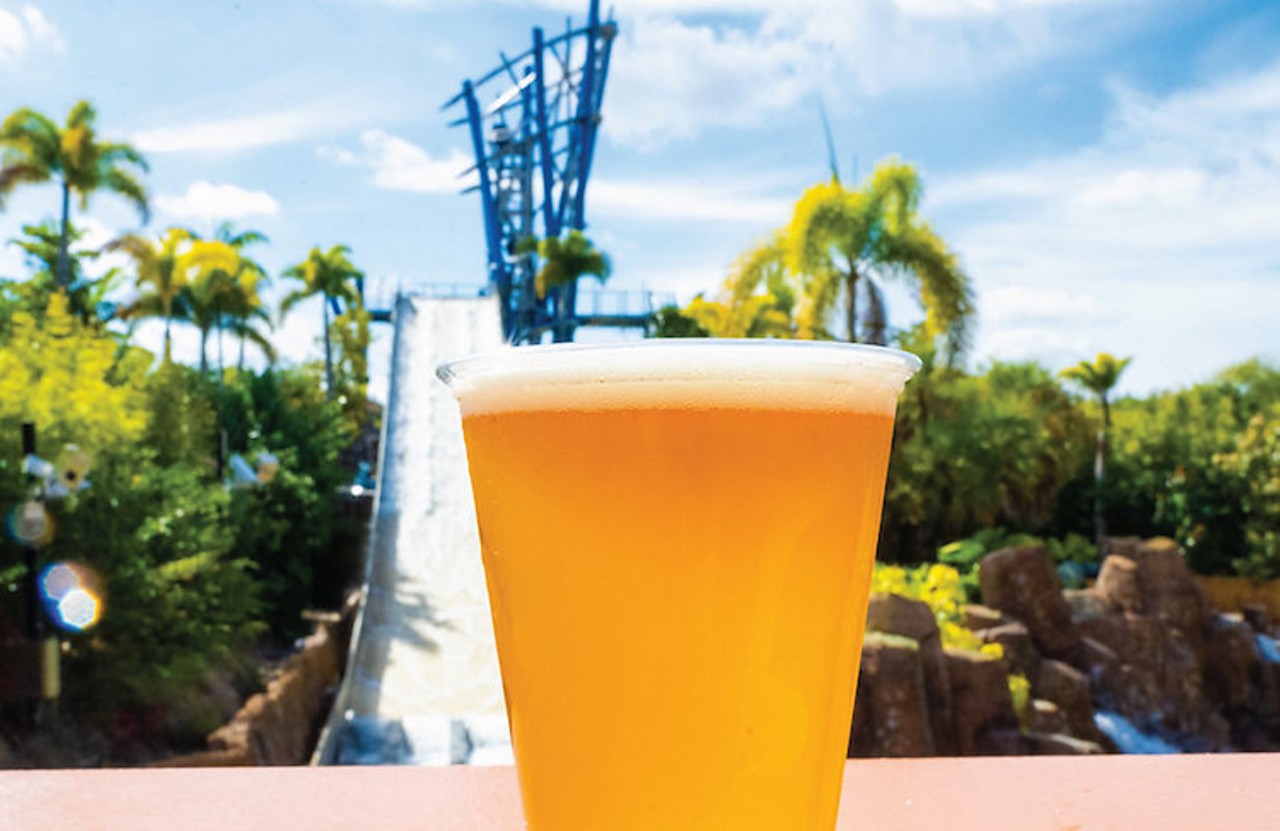 Grab a free beer at SeaWorld
Dress the kids, pack up the lunch bags and head over to this aquatic park. And then drink away the stress with their summer-only beer deals.