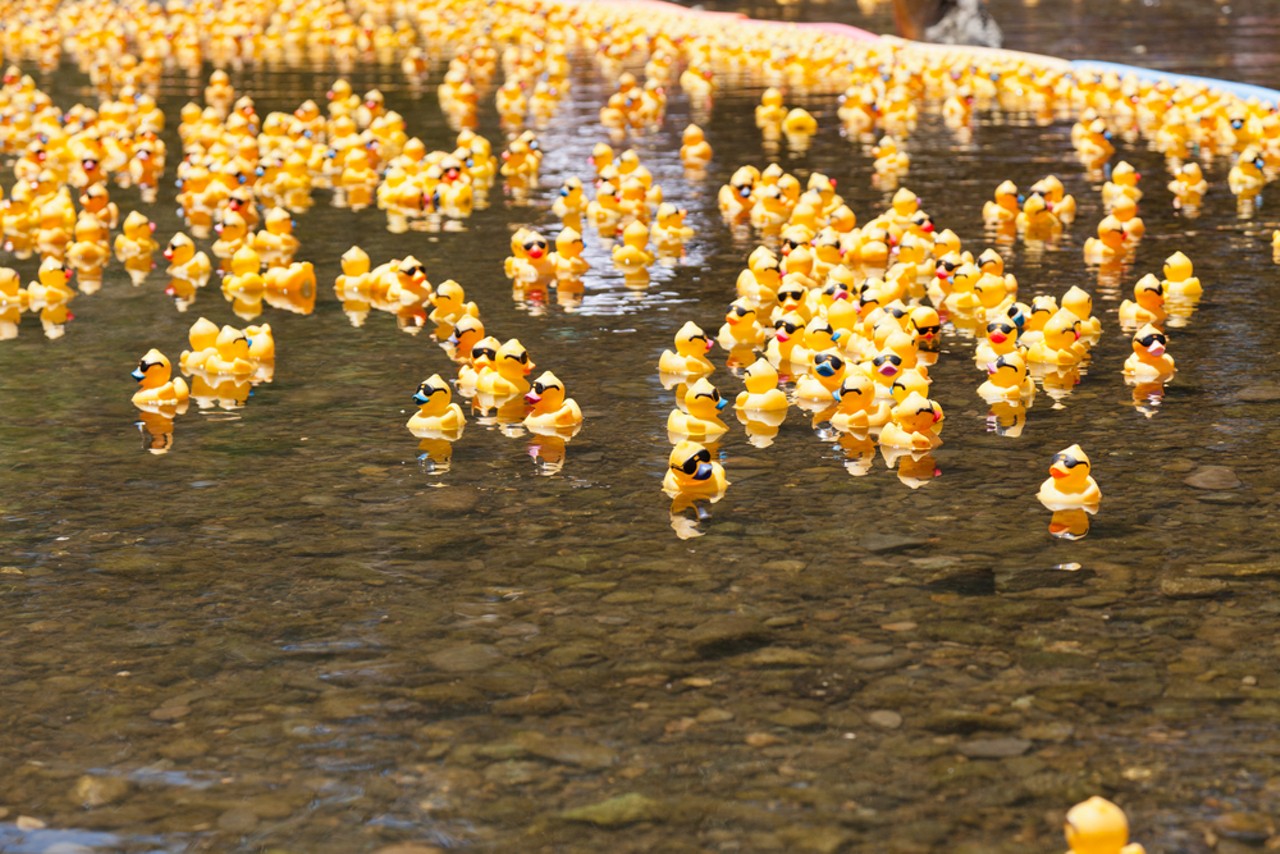 Saturday, March 10
The Great Duck Derby Family day in the park with a rubber duck race, live music, face painting, a bounce house and more. 10 am-2 pm; Mead Garden, 1300 S. Denning Drive, Winter Park; free; 407-623-3342.
Photo via Shutterstock