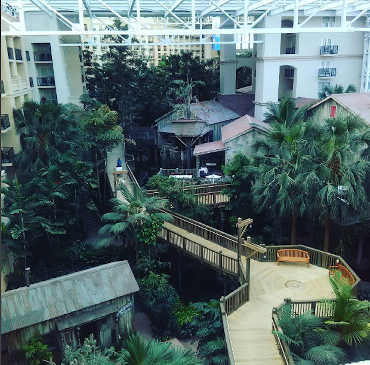 Check out the Gaylord Palms Atrium
6000 W. Osceola Parkway, Kissimmee, 407-586-0000 
The hotel&#146;s 4.6-acre glass-covered atrium features four sections that can surely kill a few hours. The St. Augustine section&#146;s alligator exhibit is perhaps the hotel&#146;s most noteworthy feature.
Photo via antwainmoney/Instagram