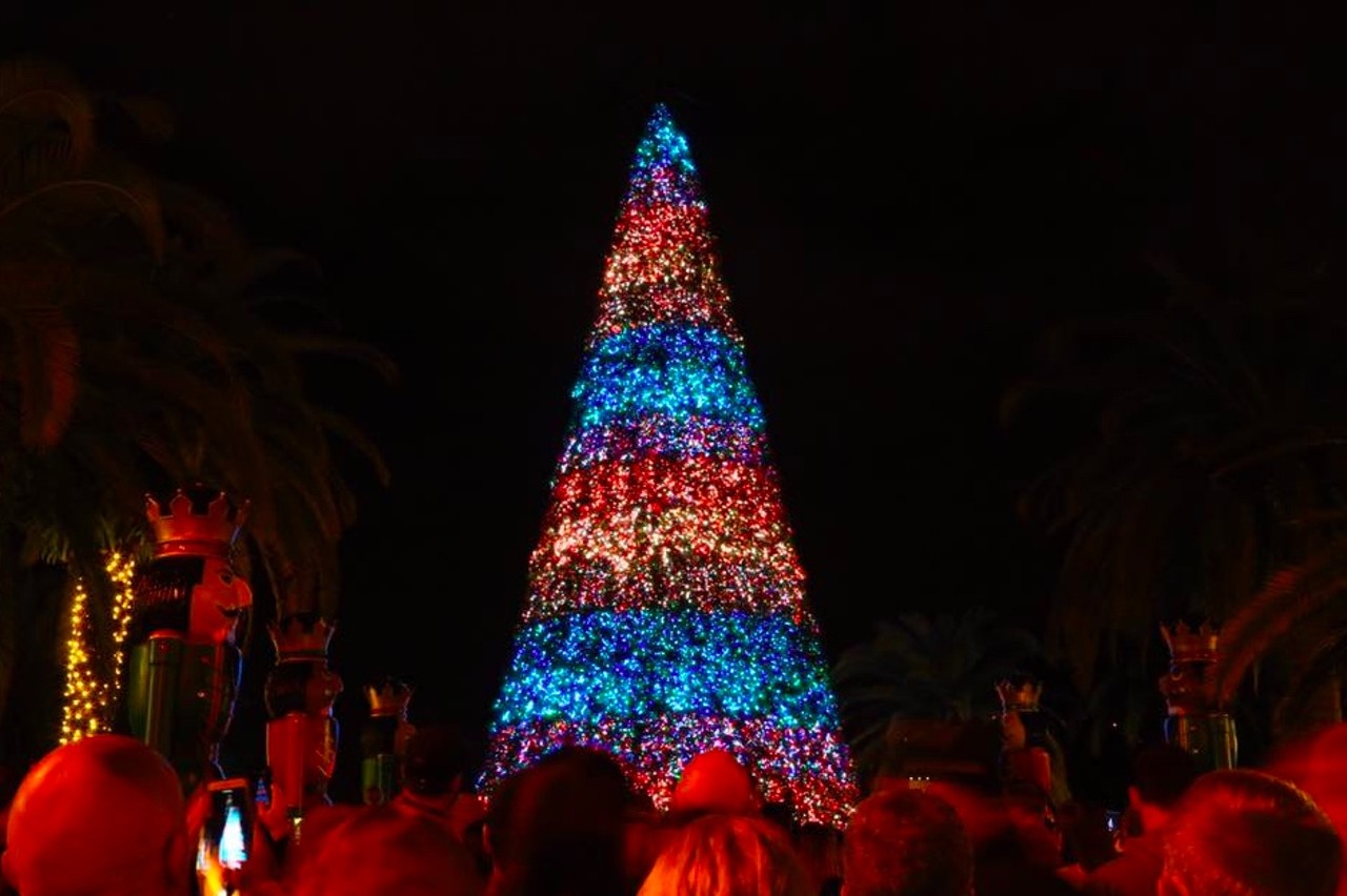 Lake Eola Park Tree 
Lake Eola Park, 195 N. Rosalind Ave.
Orlando's 72-foot Christmas tree will be lit up at Lake Eola's Washington plaza. Keep a look out for holiday performances at the Walt Disney Amphitheater, as well as food trucks and a holiday market.
