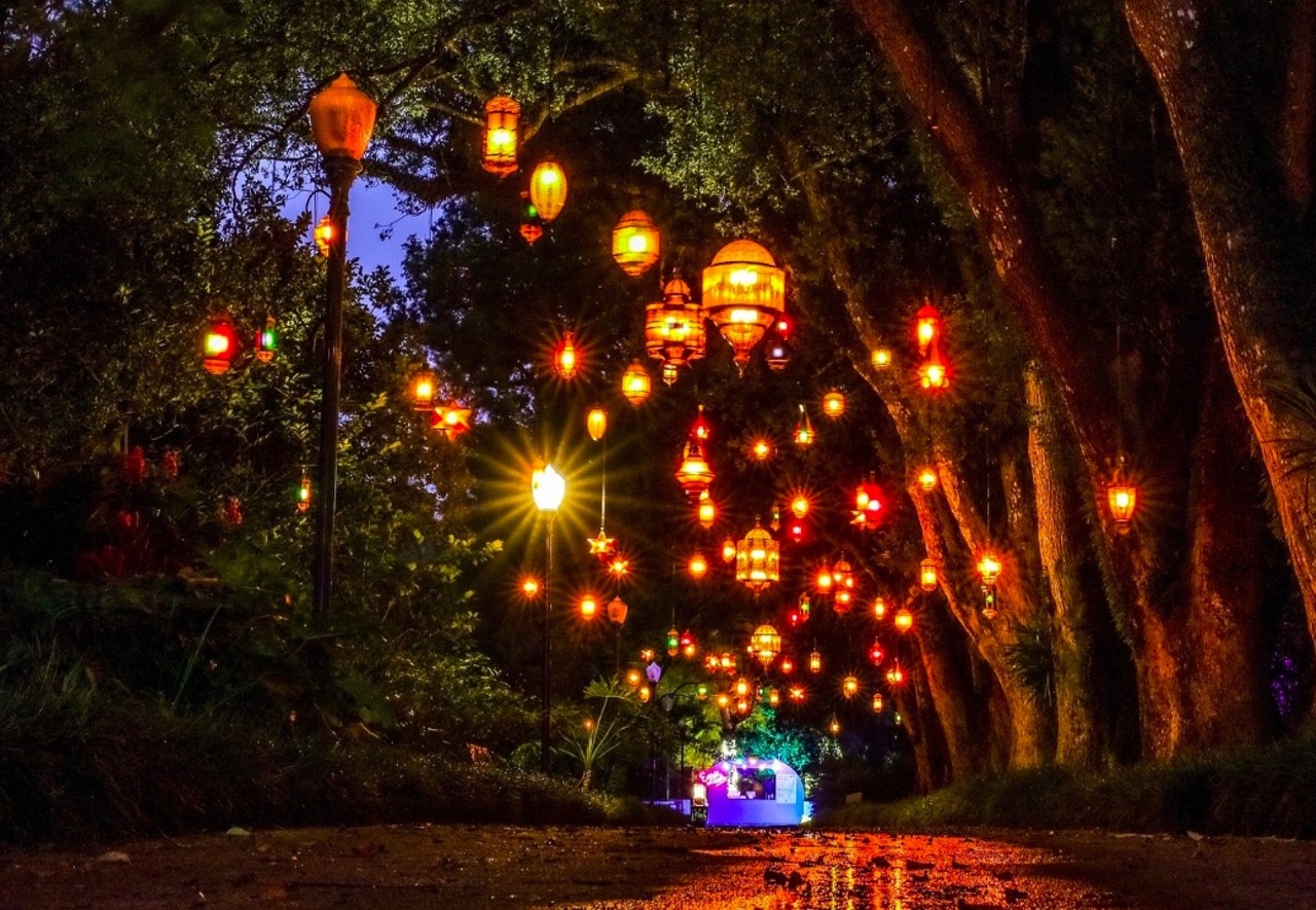 16+ Orlando Christmas Lights