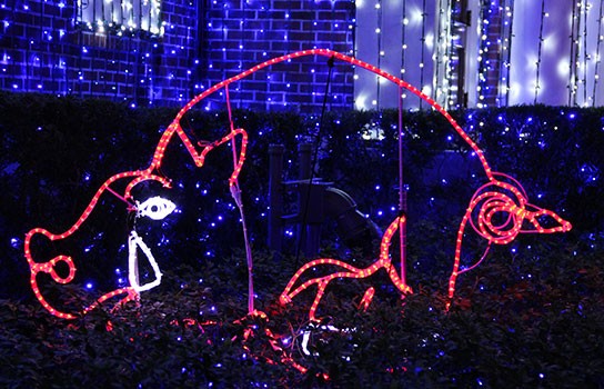 The story behind the Osborne Family Spectacle of Dancing Lights at Disney's Hollywood Studios