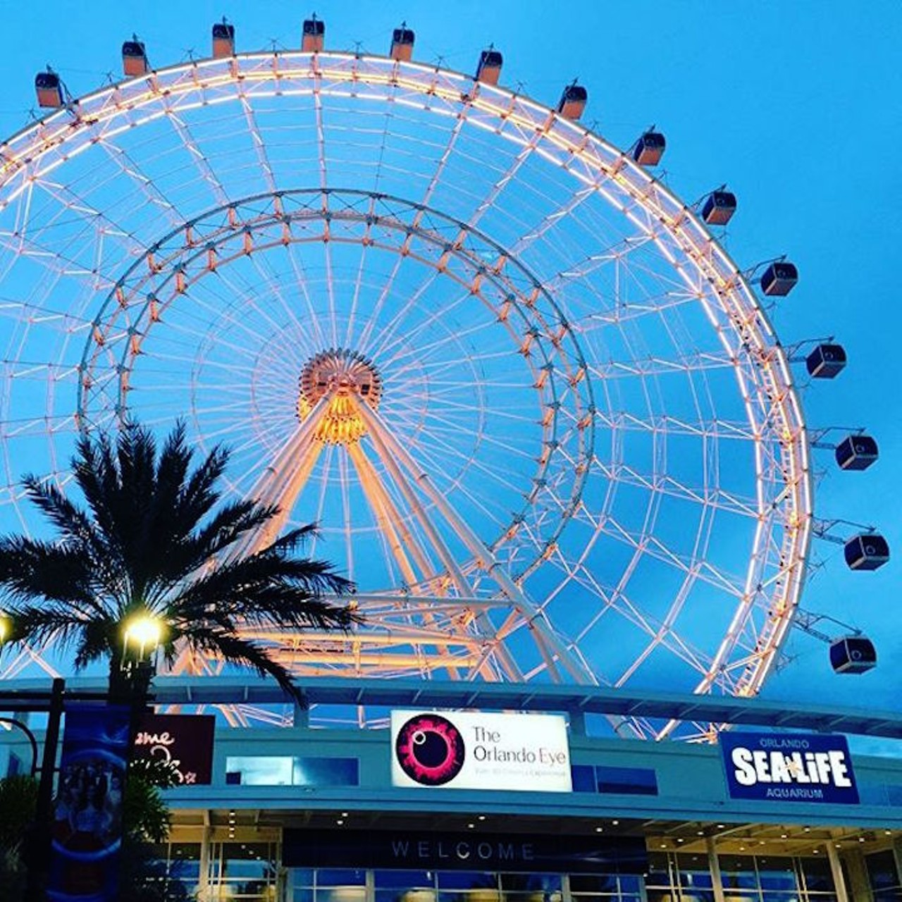  24. Ride the Orlando Eye and hopefully get stuck for 3 hours
Because the odds are pretty good that it will break down at some point. 
Photo via orlando.terapia/Instagram