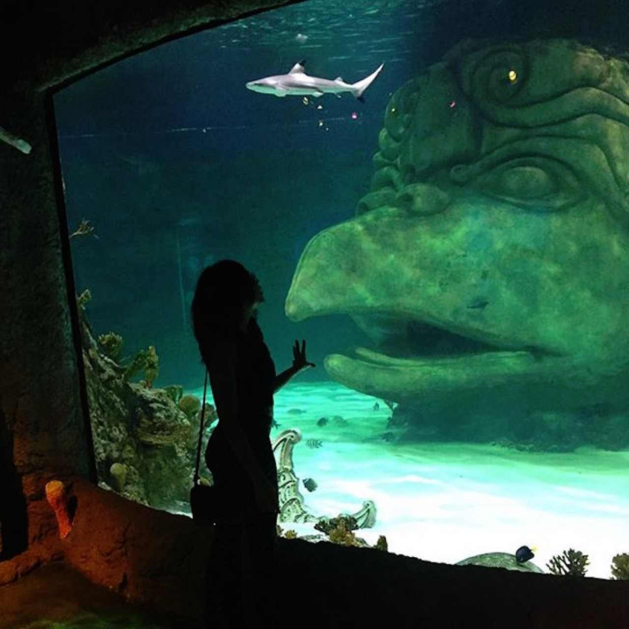  20. The Sea Life Aquarium 
As Sebastian in Little Mermaid siad, "Kiss dee giiiiirl!" 
Photo via xdivina_/Instagram