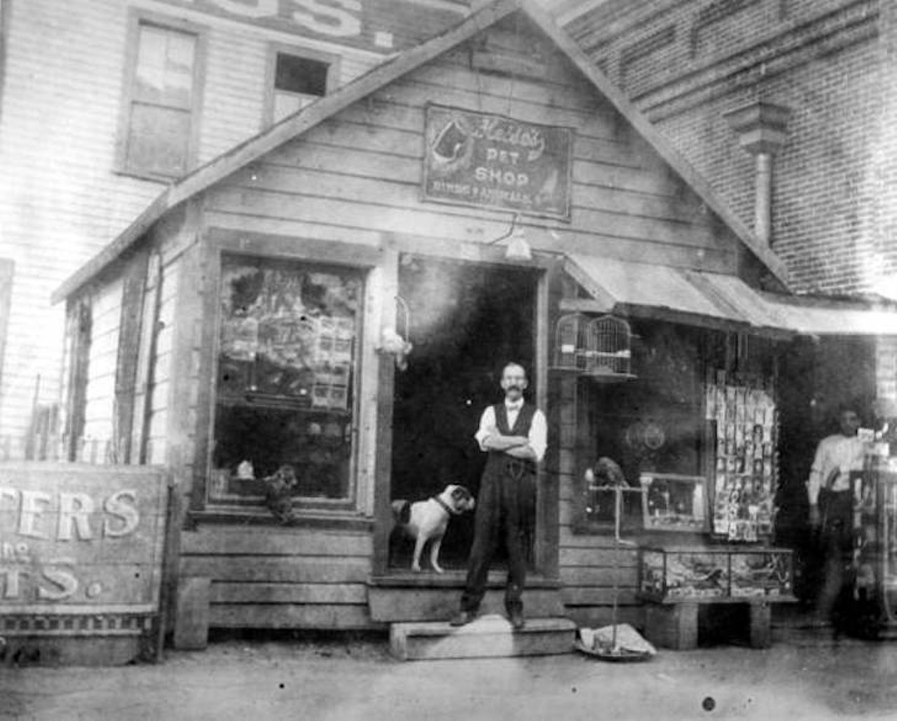 Heise's pet shop in Tampa, Florida, taken sometime in the 1900s.