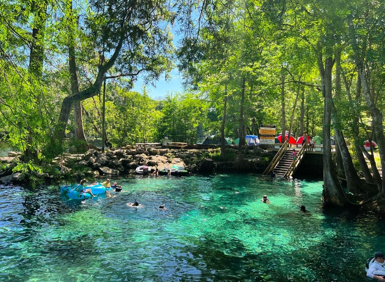 Ginnie Springs
2 hours from Orlando
The seven crystal-clear springs at Ginnie Springs are 72 degrees year-round, perfect for snorkeling, scuba and cave diving. The 200 surrounding wooded acres allow guests to spend the night or weekend, with more than 100 campsites with electric and water hookups.