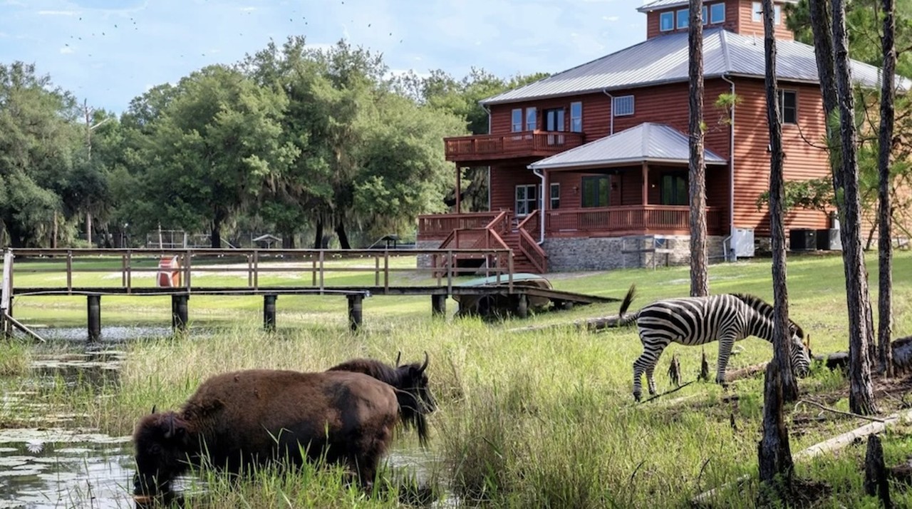 This $8 million Florida ranch for sale comes with three lakes, 500 deer and herds of exotic animals