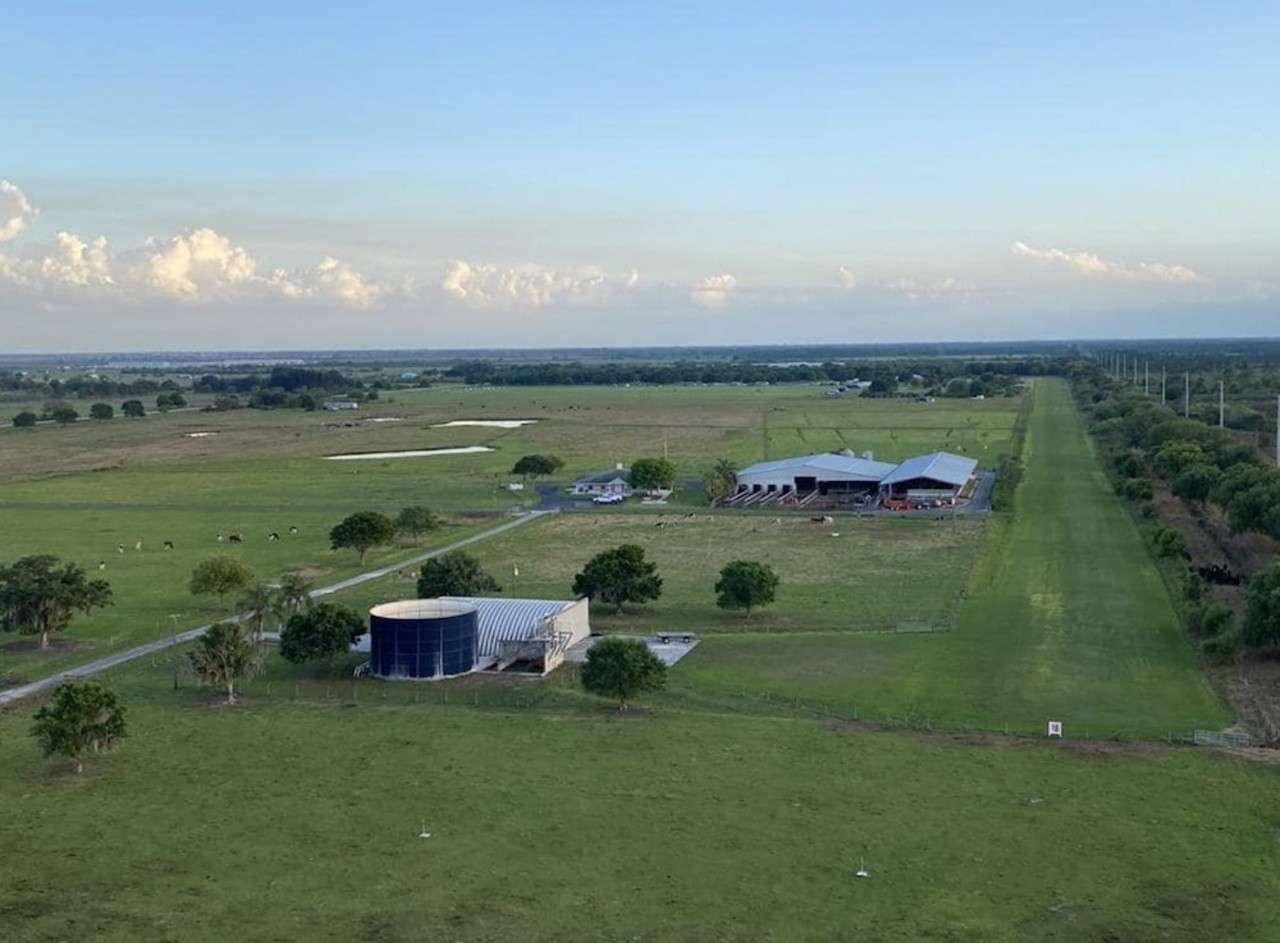 This Florida home for sale comes with its own private airport and a three-story treehouse