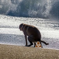 Cocoa Beach, Orlando's closest beach, might start allowing dogs