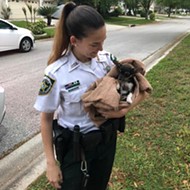 Florida sheriff deputies rescued a puppy stuck in a storm drain and named it 'Poncho'