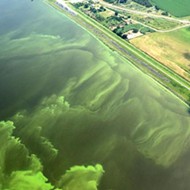 White House backs Florida's effort for Everglades reservoir